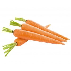 Fresh carrot