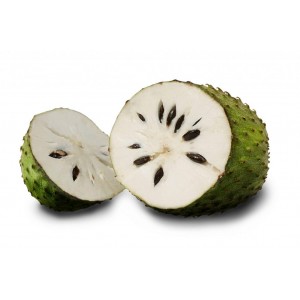 Soursop