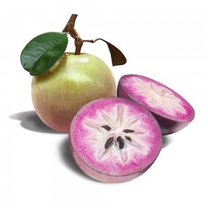 Star apple fruit