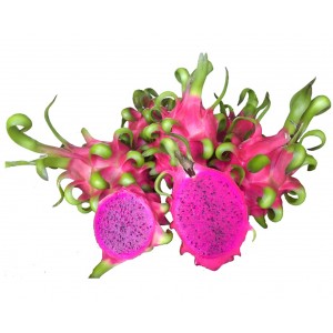 Red Flesh Dragon Fruit